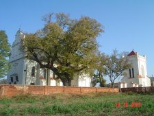 Kości&oacute;ł Kr&oacute;lik&oacute;w