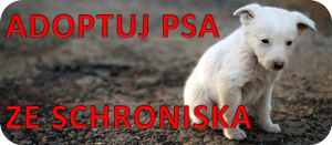 ADOPTUJ PSA