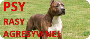 PSY RASY AGRESYWNEJ