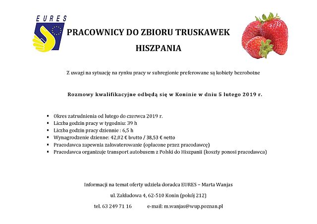 PRACOWNICY DO ZBIORU TRUSKAWEK male