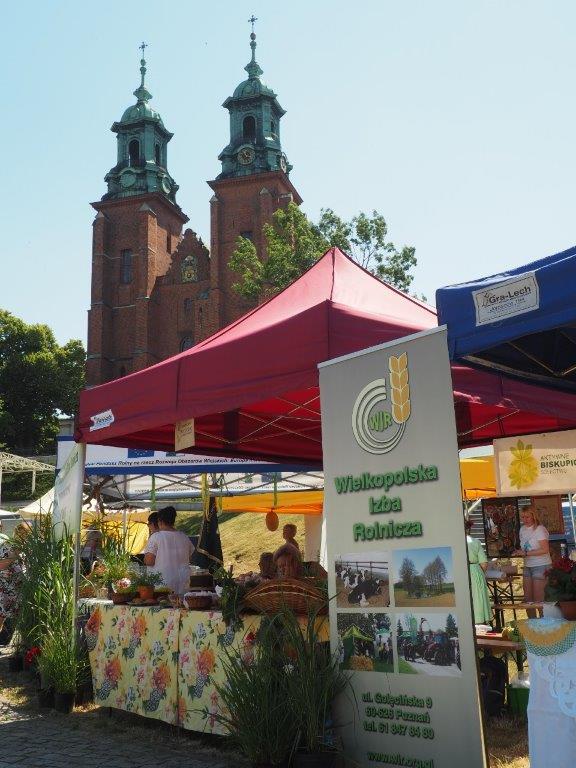 Delegacja z gminy Grodziec uczestniczyła w jubileuszowych obchodach święta wielkopolskiego rolnictwa - zdjęcie 4