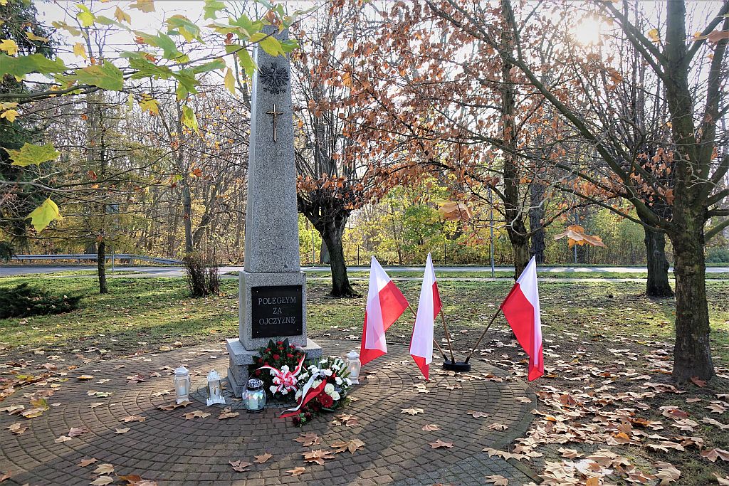 Gminne obchody Święta Niepodległości - zdjęcie 10