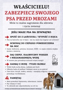 ZABEZPIECZ SWOJEGO PSA PRZED MROZAMI - plakat